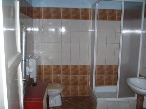 y baño con ducha, aseo y lavamanos. en Kalmár Vendégház-Vadászház en Tornyiszentmiklós