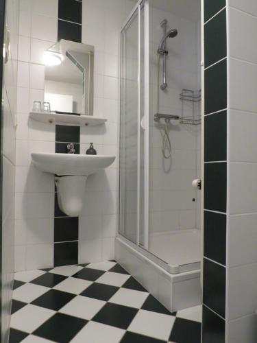 a bathroom with a shower and a sink and a toilet at B&B Sagenland in Harbrinkhoek