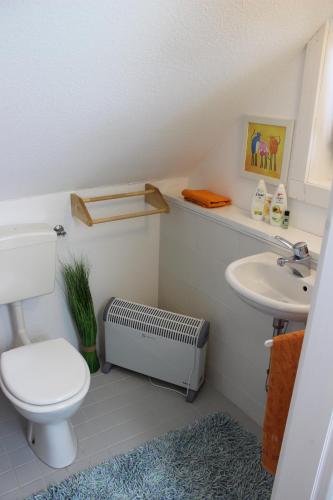 a bathroom with a toilet and a sink at gemütliches Gästezimmer in Ostseenähe in Stubbendorf
