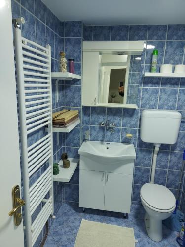 een blauw betegelde badkamer met een toilet en een wastafel bij Apartman Sladja in Bijeljina