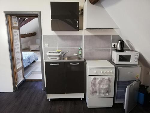 een kleine keuken met een wastafel en een magnetron bij Appartement au pied du circuit de Magny-cours in Magny-Cours
