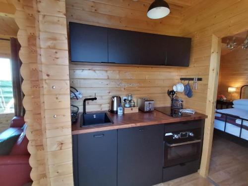 uma cozinha num chalé de madeira com um lavatório em Skye Coorie Cabin em Breakish