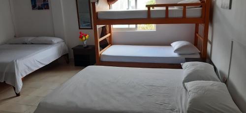 Pokój z 2 łóżkami piętrowymi i oknem w obiekcie Posada Nativa Miss Zelzel Place w mieście San Andrés