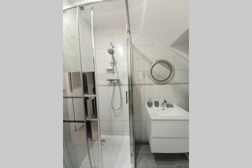 uma casa de banho com um chuveiro e um lavatório. em COCOONING Appartement 10mn Aeroport Roissy CDG em Villeneuve-sous-Dammartin
