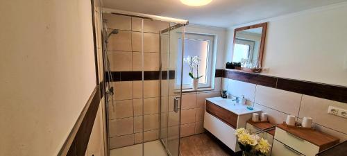a bathroom with a shower and a sink at Ferienhaus Heider II in Altenrode