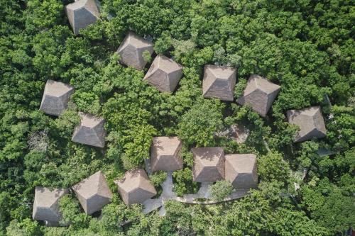 an overhead view of a group of temples in a forest at The Explorean Cozumel All Inclusive in Cozumel