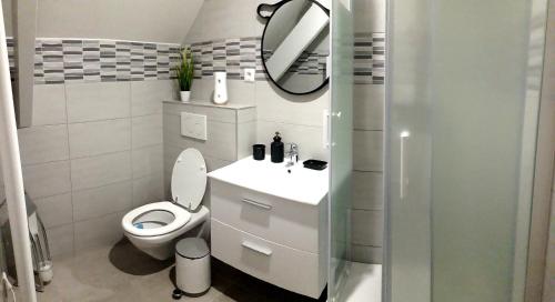 La salle de bains est pourvue de toilettes, d'un lavabo et d'un miroir. dans l'établissement COSY CHAMBRE CHEZ HABITANT 5mn Aéroport Roissy CDG, au Mesnil-Amelot