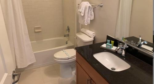 a bathroom with a sink and a toilet and a bath tub at National at Loudoun in Ashburn