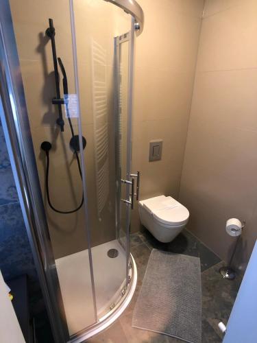Ένα μπάνιο στο Apartment Zagreb Jacuzzi