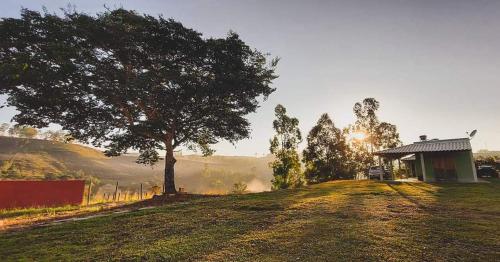 a tree on a field next to a house at Pousada Pato Mergulhão in Vargem Bonita