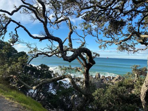 a view of the ocean from a tree at Modern Beach Apartment with Pool & Location in Mount Maunganui