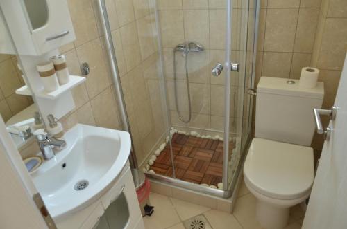 a bathroom with a shower and a toilet and a sink at Villa Katerina in Ohrid
