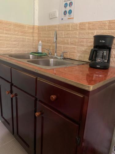 encimera de cocina con fregadero y microondas en Wanigi Guesthouse, en Punta Gorda