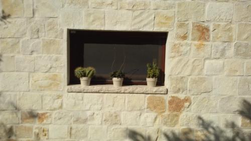 a stone wall with three potted plants in a window at Villa Mest Pepp in Monopoli