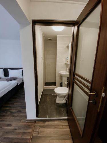 a small bathroom with a toilet and a sink at PaulaApartment&Rooms in Oradea