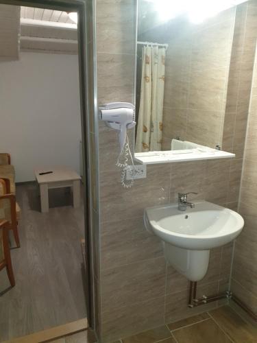 a bathroom with a sink and a mirror at Casa Brândușa in Bran