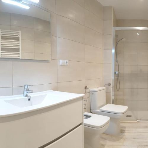 y baño con aseo, lavabo y ducha. en Casa Filomena apartamento de diseño en St. Joan de les Abadesses, en Sant Joan de les Abadesses