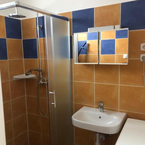 a bathroom with a sink and a shower at Csorvy Apartman in Hajdúszoboszló
