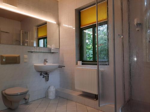 a bathroom with a toilet and a sink and a shower at Gutshof Hauber in Dresden