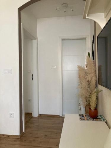 a hallway with a door and a table with a plant at Apartment Ria in Split