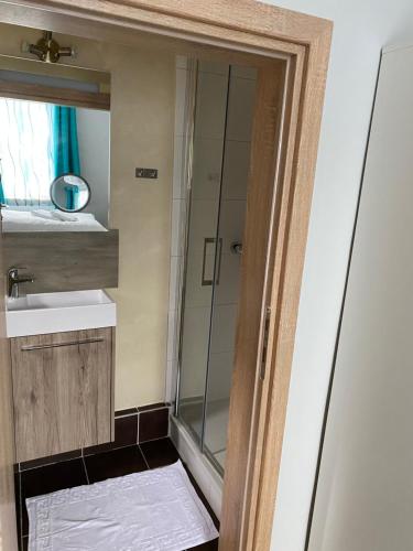 a bathroom with a shower and a sink at Apartments Am Bahnhof in Siegen