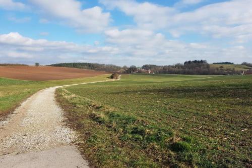 a dirt road in the middle of a field at Dachwohnung Eyb mit 3 Schlafzimmern in Ansbach