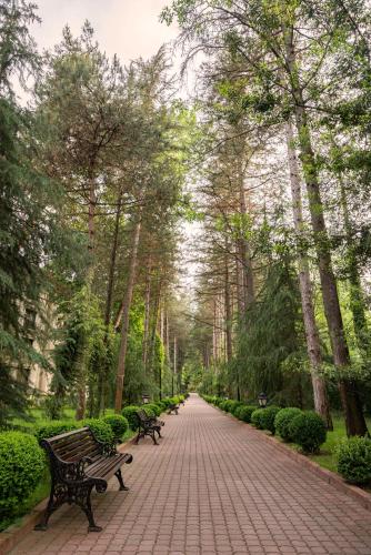 Taman di luar NG Sapanca Wellness & Convention