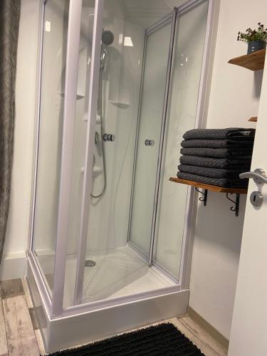 um chuveiro com portas de vidro na casa de banho em FeWo Zum Panscheberg em Salzgitter
