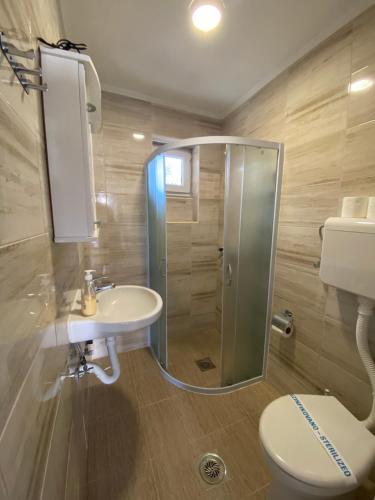 a bathroom with a shower and a sink and a toilet at Vila Zdravković Prolom Banja in Prolomska Banja