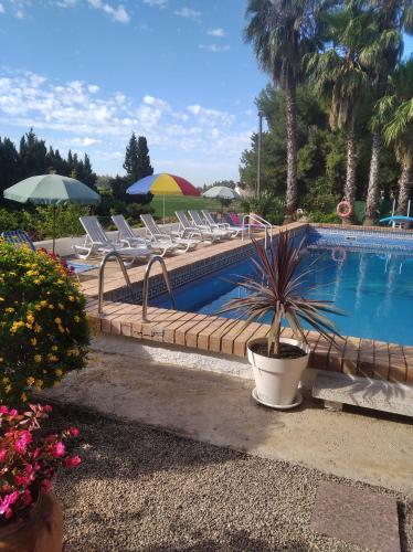 a pool with chairs and a potted plant next to it at Casa Rural COMPLEX MASIA DEL TREMENDO y Agroturismo in Camarles