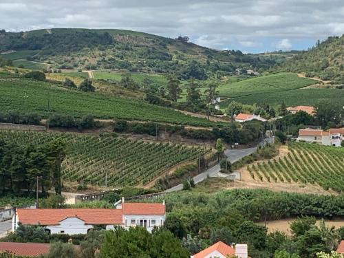 a view of a vineyard in the hills with a house at Quinta Ribeira do Labrador - Lisbon West Wine Route in Alenquer