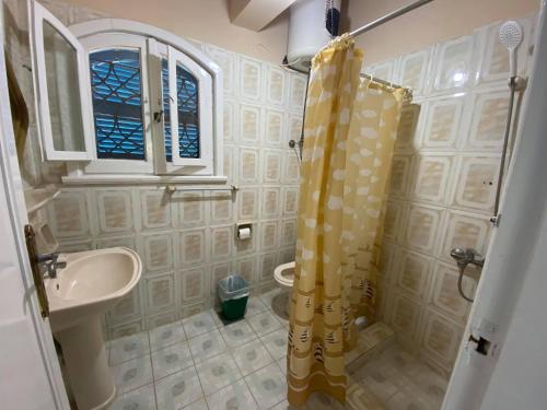 a bathroom with a sink and a shower curtain at Blue House in Alexandria
