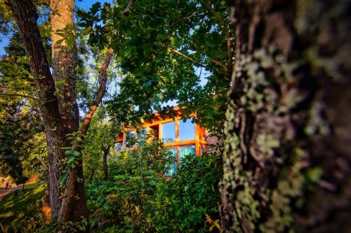 a house in the woods with trees in the foreground at Rinoterra Minho in Caminha