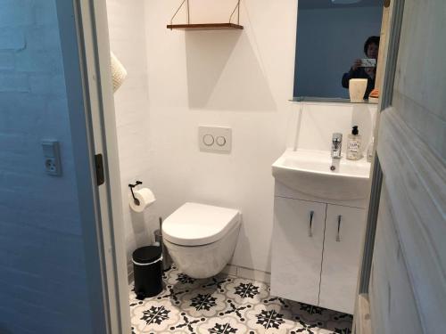 a small bathroom with a toilet and a sink at Tøndegården 2 rooms apartment in Odense