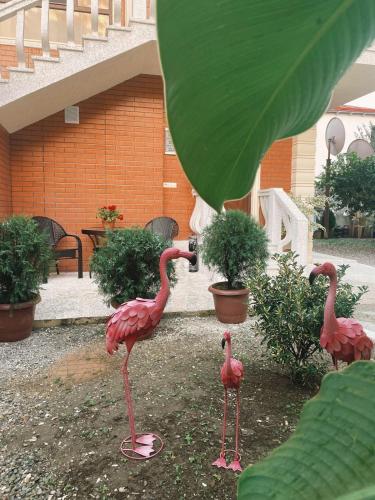 Fotografie z fotogalerie ubytování ORANGE INN v destinaci Chakvi