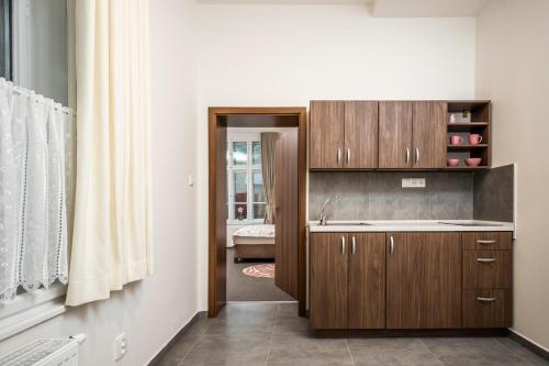 eine Küche mit Holzschränken und einem Waschbecken in der Unterkunft APARTMÁNY VILA LIBĚNA in Ostrava