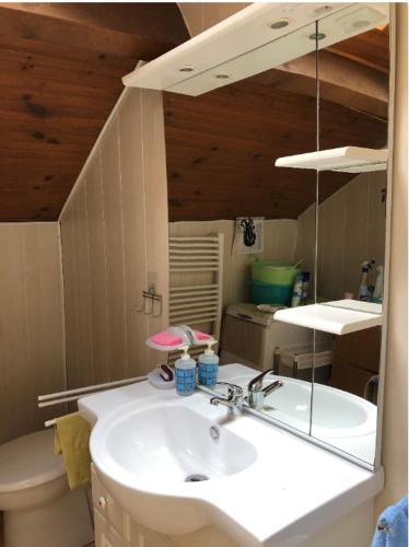 une salle de bain avec un lavabo et un miroir dans l'établissement NANA 63, à La Bourboule