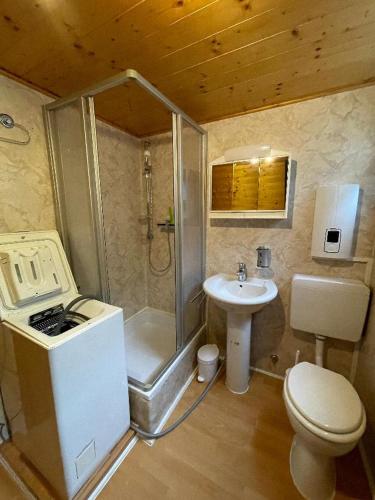 a bathroom with a shower and a toilet and a sink at Ferienhäuser 6 & 24 in Freyung
