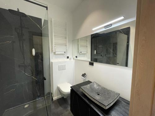 Un baño con ducha, inodoro y lavabo. en Patenier Hidden Garden 1bdr with garden, en Lieja
