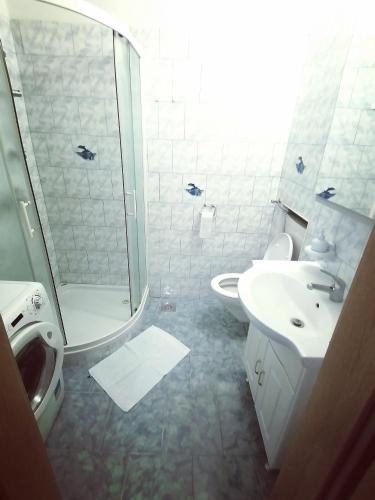 a bathroom with a shower and a sink and a toilet at Apartma Poletje in Koper