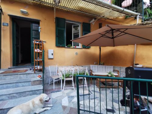 a white dog laying on a patio with an umbrella at Itaca in Varazze
