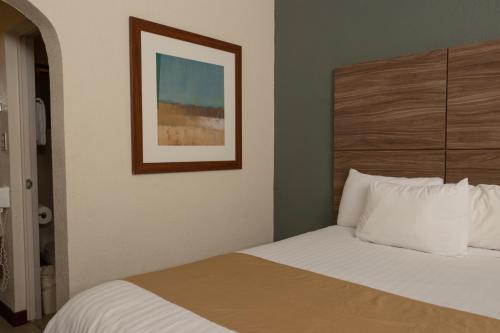 a bedroom with a bed and a picture on the wall at Best Western Cumbres Inn Cd. Cuauhtemoc in Cuauhtémoc