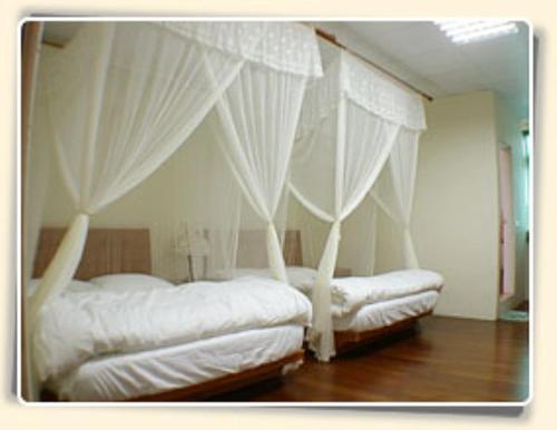 - une chambre avec 2 lits dotés de rideaux blancs dans l'établissement Dong Li Tea Homestay, à Ruisui