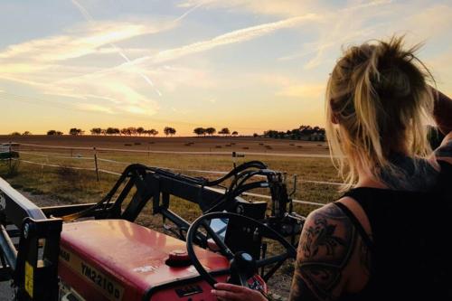 Fotografie z fotogalerie ubytování Gutshof Dobschütz - Urlaub auf dem Bauernhof v destinaci Nossen