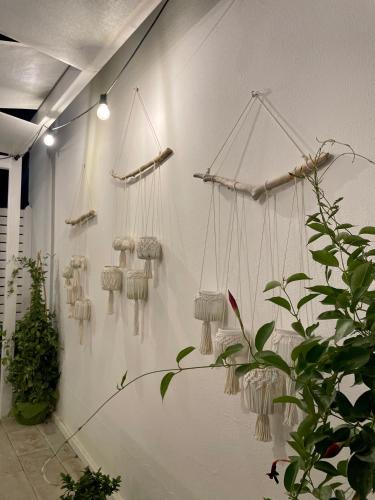 a wall with a bunch of hanging baskets on it at i Giardini di Rita- Rooms & Garden Loft in Margherita di Savoia