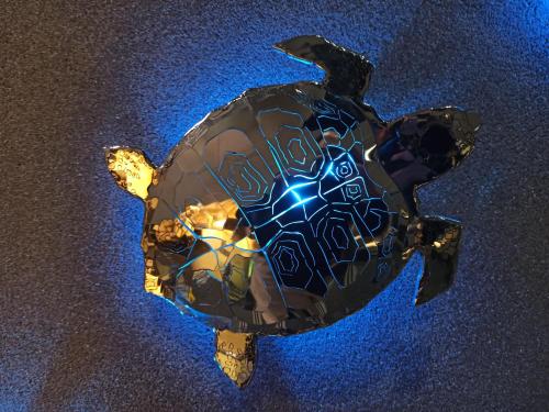 a green turtle with a blue light on its back at BlueTel Lixouri in Lixouri