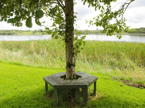 a bench around a tree in front of a lake at Lakeside Cottage in Boyle