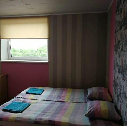 - une chambre avec un lit avec deux oreillers et une fenêtre dans l'établissement Obinitsa Puhkemaja, à Obinitsa