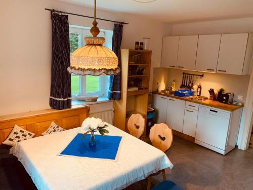 Kuchyňa alebo kuchynka v ubytovaní Schöneben Apartment Zollhaus