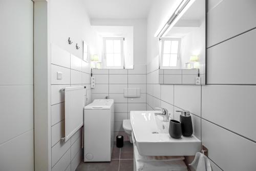 Kuchyň nebo kuchyňský kout v ubytování Löwe Apartment Grün Küssaberg am Rhein